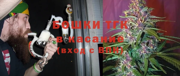 стаф Аркадак