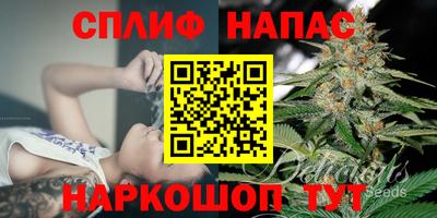 крисы Железноводск