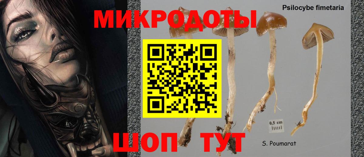 Псилоцибиновые грибы Cubensis  Псилоцибиновые грибы ЛСД  Радужный  Вход с VPN 